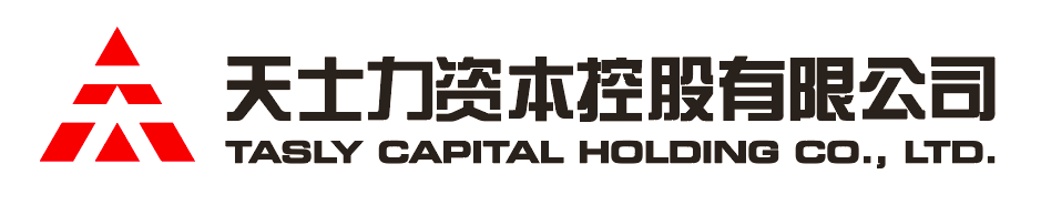 电子娱乐平台游戏资本控股有限公司