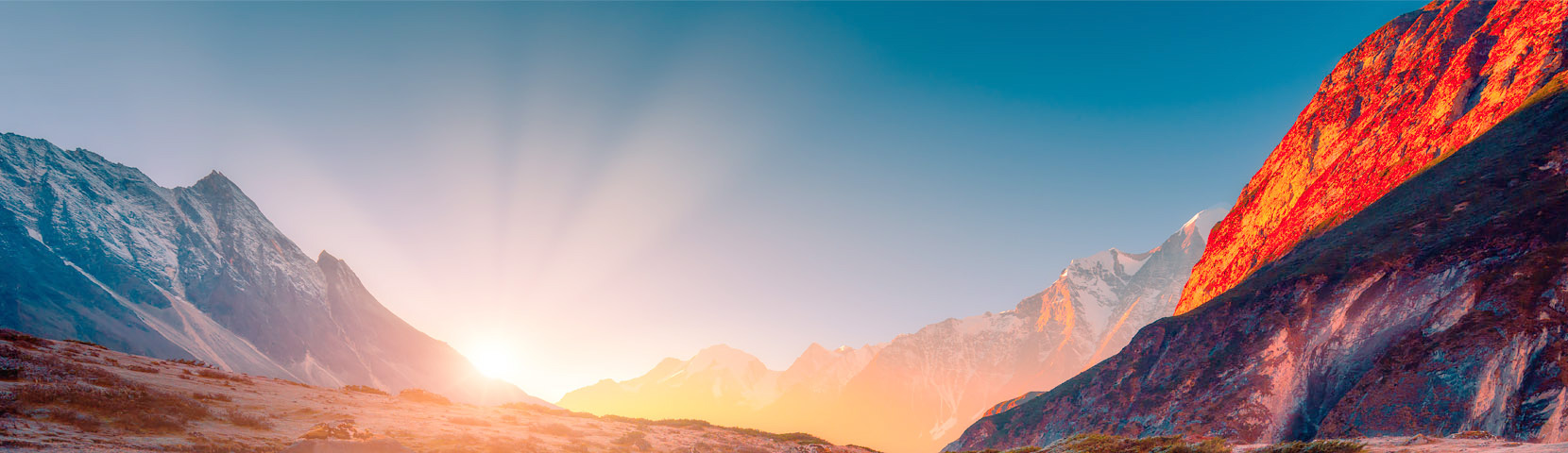 关于电子娱乐平台游戏